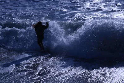 DSC_0453 (Large).JPG